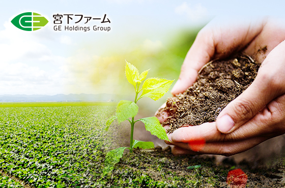 合同会社宮下ファーム