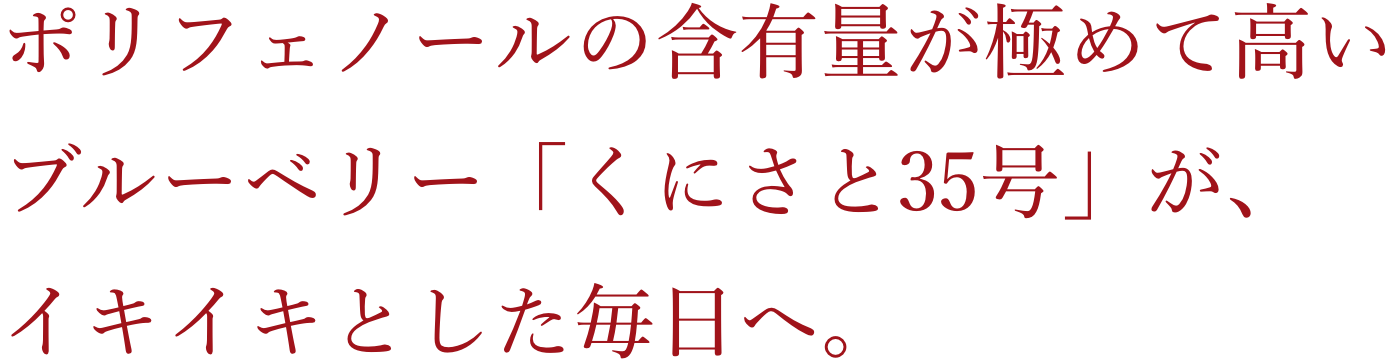 ポリフェノールの含有量が極めて高く、メディアでも話題の宮崎県産ブルーベリー「くにさと35号」がイキイキとした毎日へと導きます。&エイジングケア成分贅沢配合